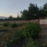 زمین خالی  کاربری مسکونی