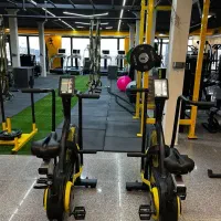 استخدام نیروی پذیرش خانم در سانس آقایان