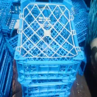 سبد ۵ کیلویی مناسب سیب گلان سیر
