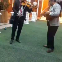 اجرا موزیک ورودی تالار دف و گل ریزان، ویولن و تنبک