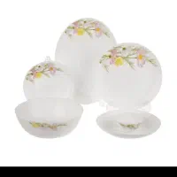 سرویس غذاخوری آرکوپال فرانسوا نو