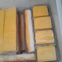بس‌تنی