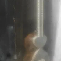 تار سراوانی‌    استفاده نشده  ۹ سال