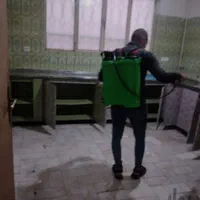 سمپاشی سم پاشی سوسک ساس در تمام نقاط مشهد