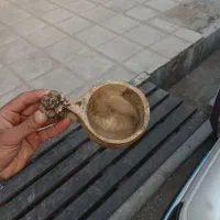 ظروف|ظروف سرو و پذیرایی|قم, بیست متری ولیعصر|دیوار