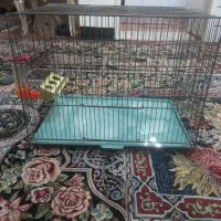 قفس پرنده
