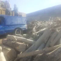 خرید برشکاری درخت چوب تر خشگ