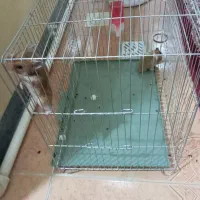 قیمت 15000000