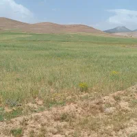 زمین جهت احداث باغ