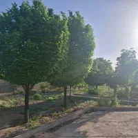 باغ شهری ۲۸۰۰ متری سیاخ دارنگون