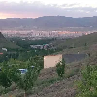 باغ|خدمات باغبانی و درختکاری|زنجان, |دیوار