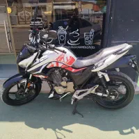 زونتس230کویر