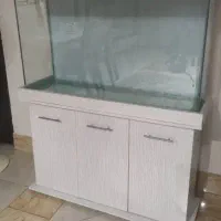 اکواریوم