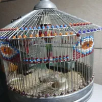قفس طرقه نو