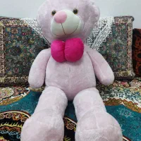 خرس. بزرگ