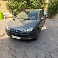 ۲۰۶ تیپ دو دلفینی خانگی
