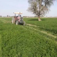 7000 مترزمین کشاورزی جعفر آباد چلیک متری320 تومان