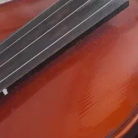 اموزش  خصوصی ویولن و  فلوت
