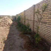زمین باغ چهاردیواری