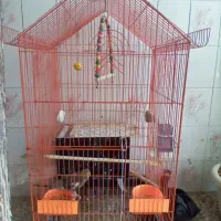 قفس پرنده