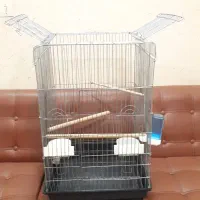قفس کاسکویی و قفس عادی و لانه جوجه کشی