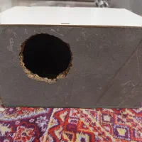 لونه عروس