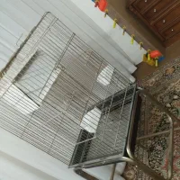قفس پرنده