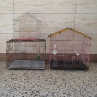 قفس پرنده