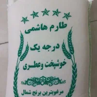 برنج طارم هاشمی  کشت دوم