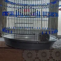 قفس طرقه