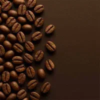 پخش عمده قهوه قیمت کف ایران