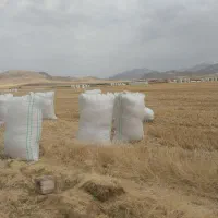 اکییپ کارگر کاه