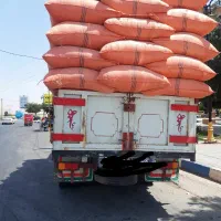 کاه دیم کرمانشاه
