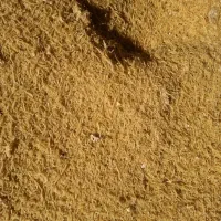 فروش ماکارانی دامی خوراک دام نون خشک
