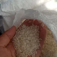 برنج اقتصادی محلی