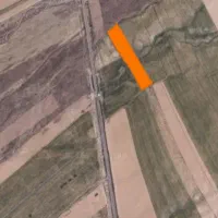 زمین دیمی کردکندی