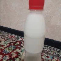 شیر الاغ