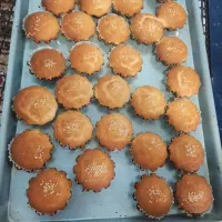 بسته بندی و تولیدی