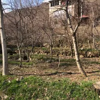 زمین در روستای تالون حومه امام زاده داود|فروش زمین و ملک کلنگی|تهران, کن|دیوار