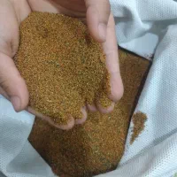 خاکشیر