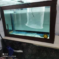 اکواریوم چندتا سایز موجوده قیمت مناسب