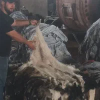 پوست دمام،پوست بز پوست ساز و دف