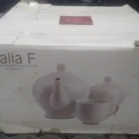 کارتن خالی  چینی زرین