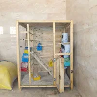 قفس چوبی نوو