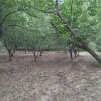 فروش باغ در آذرشهر