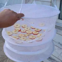 ارسال رایگان توریها