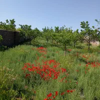 باغ-ویلا-فروشی-شهر-ملک-آباد