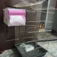 قفس پرنده