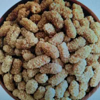 توت خشک ( دره)