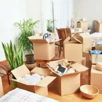 نظافت منزل و محیط کار در کرج مروارید|خدمات نظافت|کرج, بنیاد|دیوار